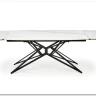 Стол обеденный Halmar ALFREDO 160 (белый мрамор/черный)